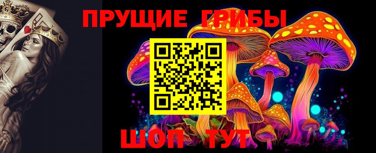 цена   Галлюциногенные грибы прущие грибы  Вход с VPN  Галлюциногенные грибы GOLDEN TEACHER  Химки 